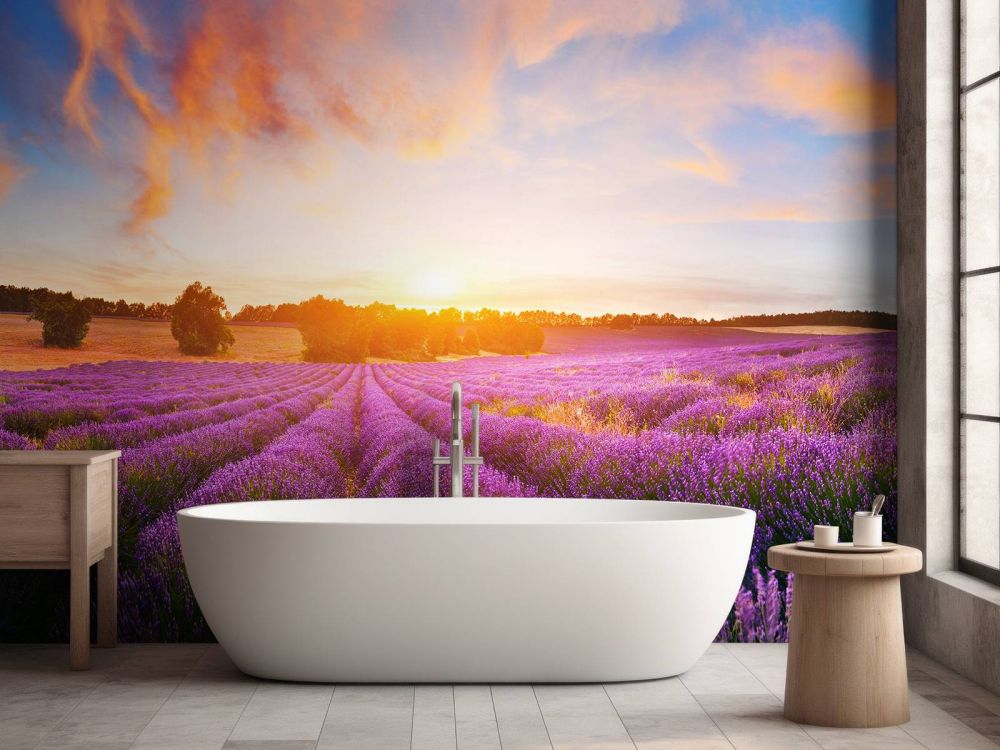 Lavendel Veld op fotobehang