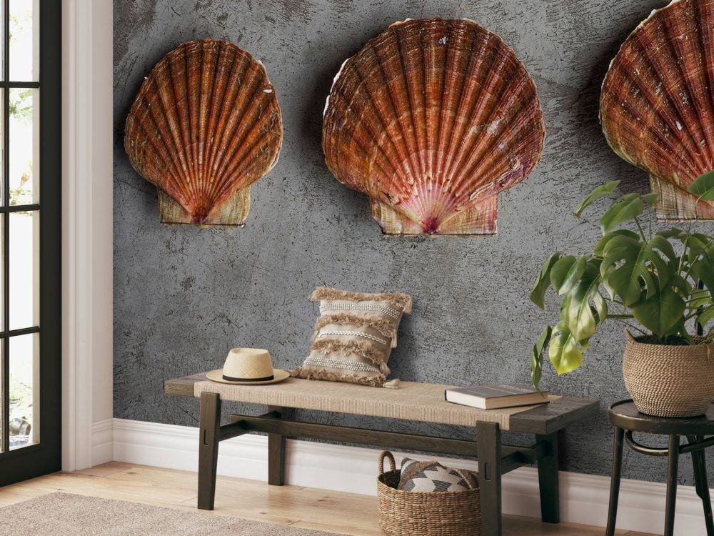 Drie schelpen