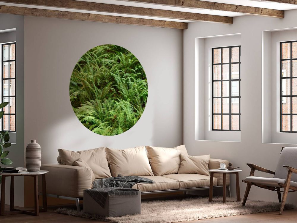 Groene varens