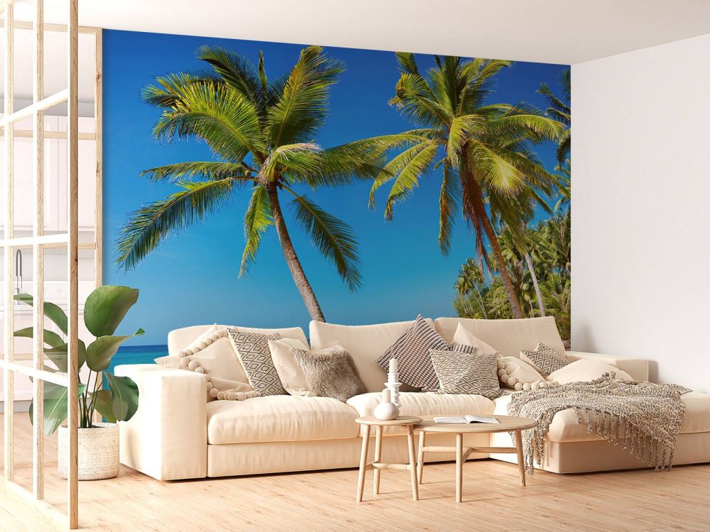 Caribbean