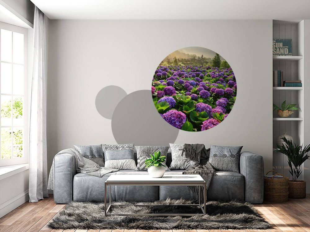 Hortensia's in een veld