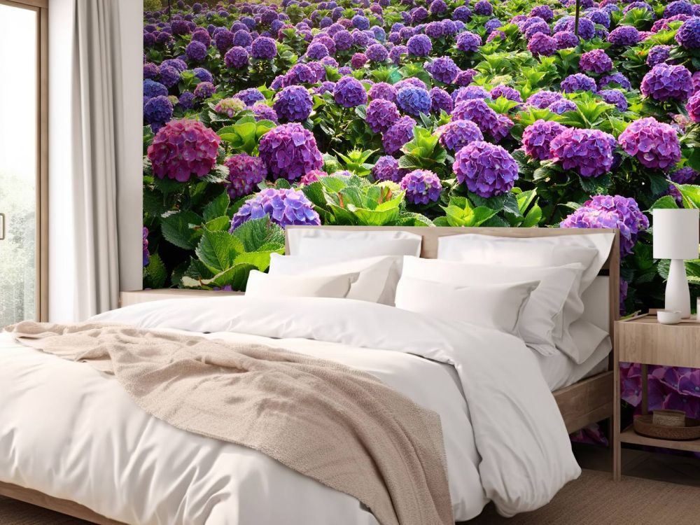 Hortensia's in een veld