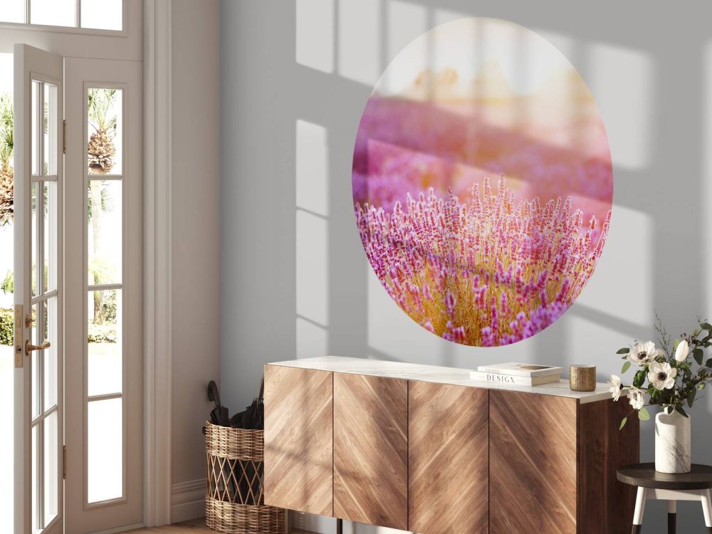 Close-up lavendel bloemen