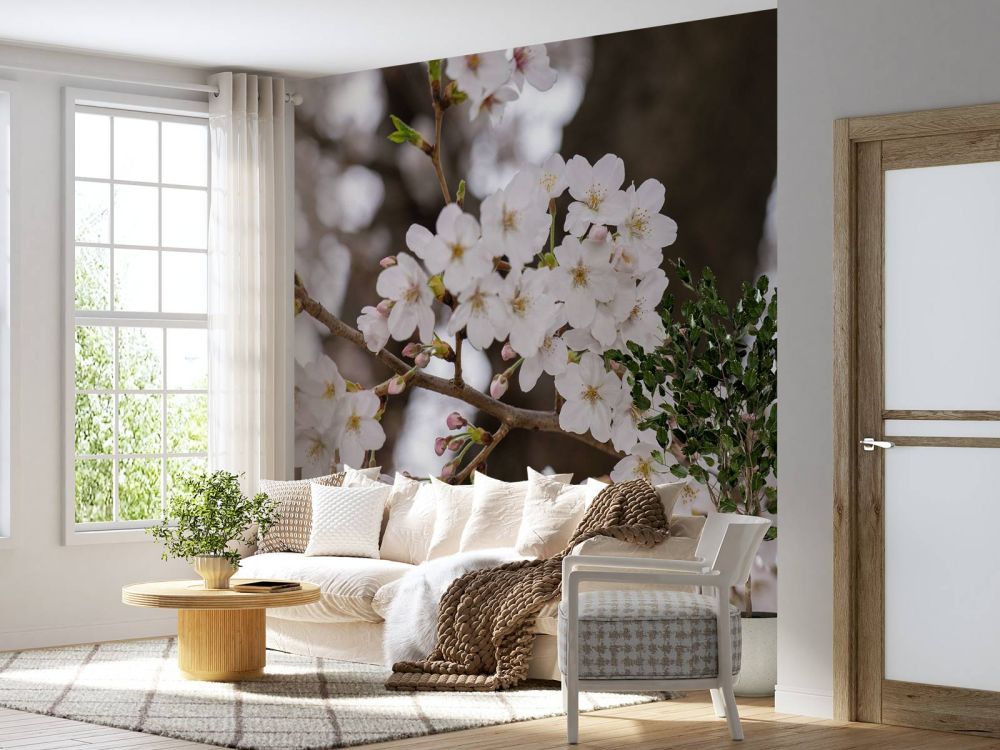 Witte bloesems