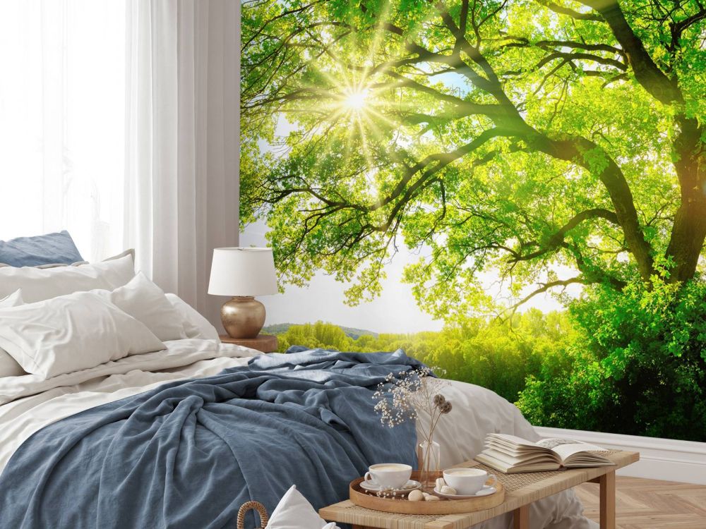 Boom met zonnestralen