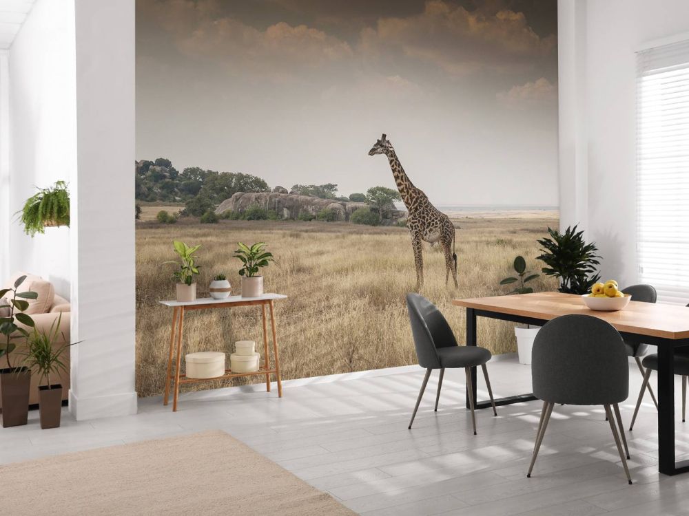 Giraffe op een savanne