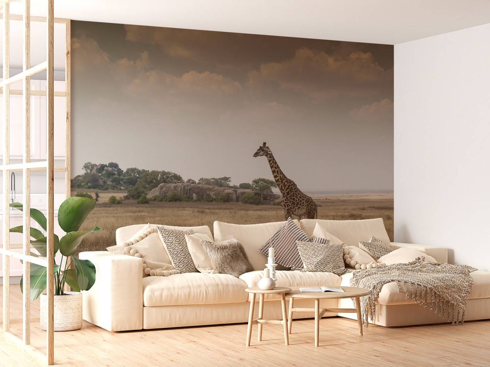 Giraffe op een savanne