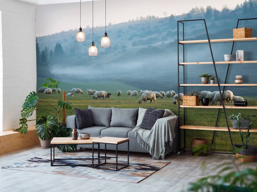 Kudde schapen met mistig landschap