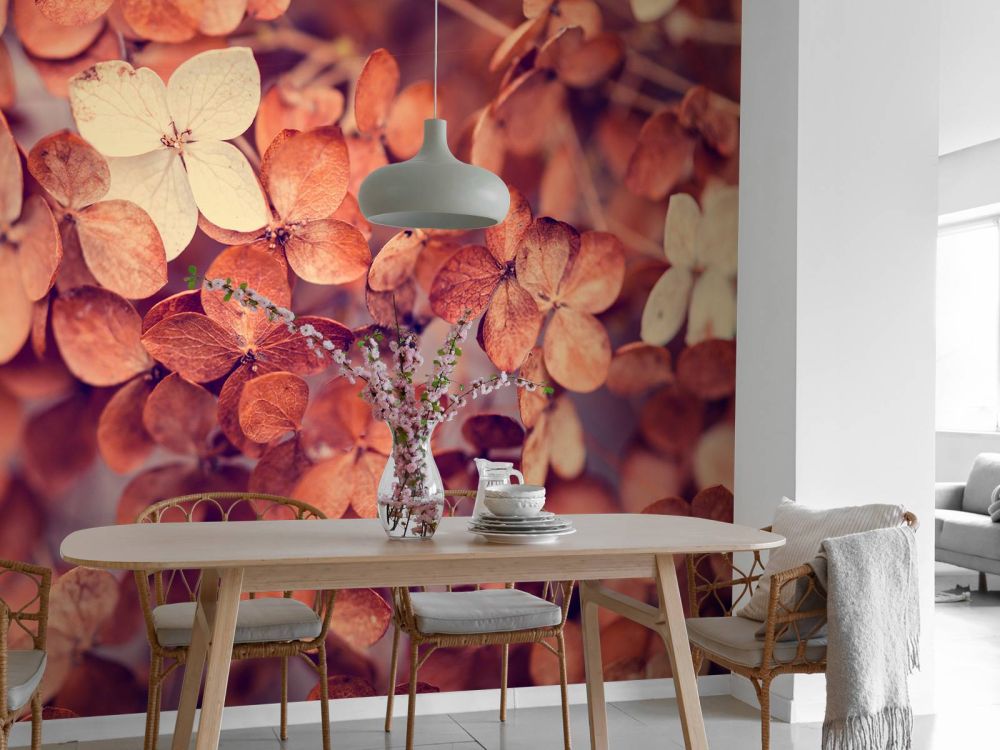 Droge hortensia's