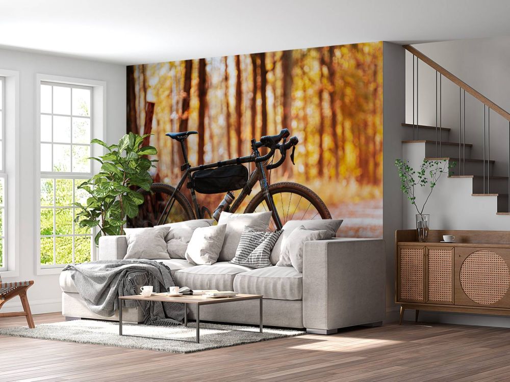 Fiets in de herfst
