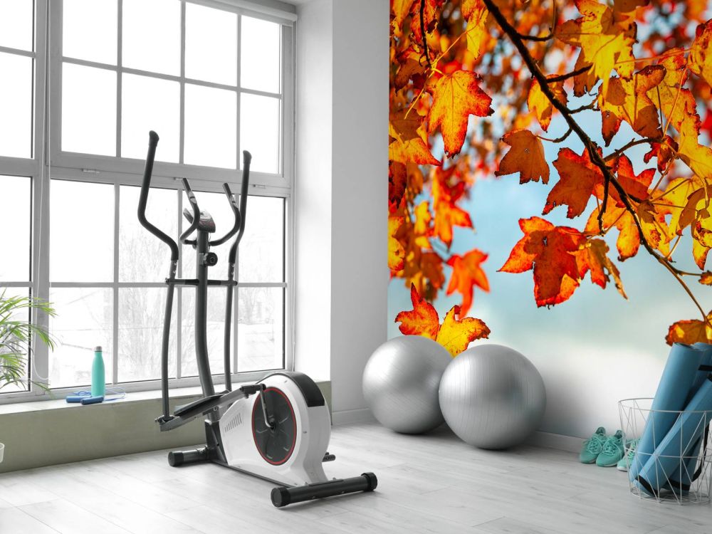 Herfst bladeren