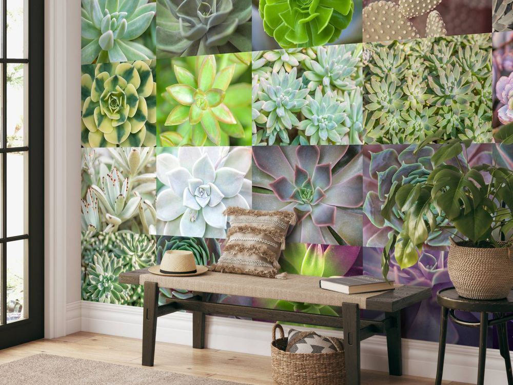 Vetplanten collage