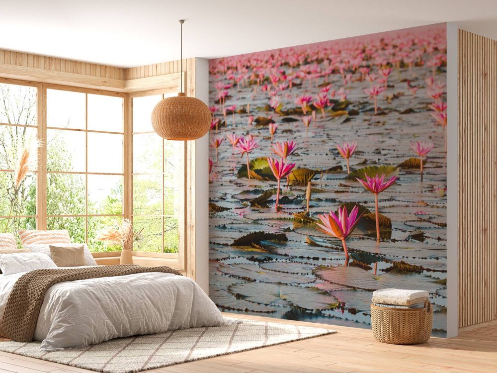 Zee van lotus bloemen