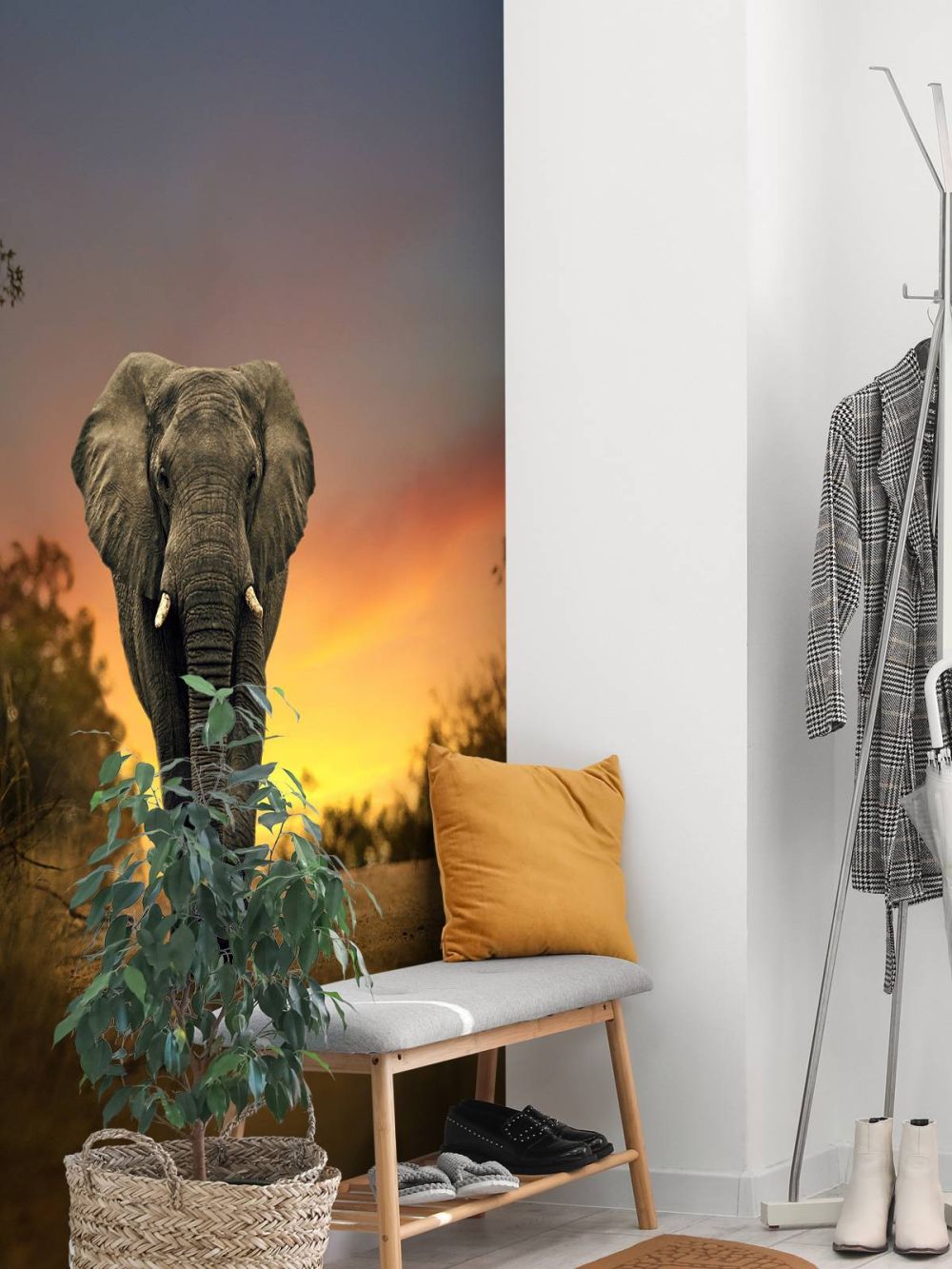 Olifant in de zonsondergang