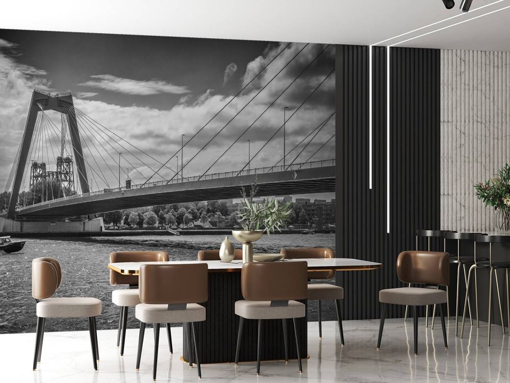 Het passeren van de Prins Willem Alexanderbrug in Rotterdam in zwart wit  