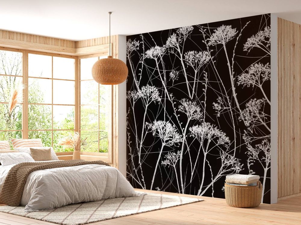 Silhouet van gedroogde planten