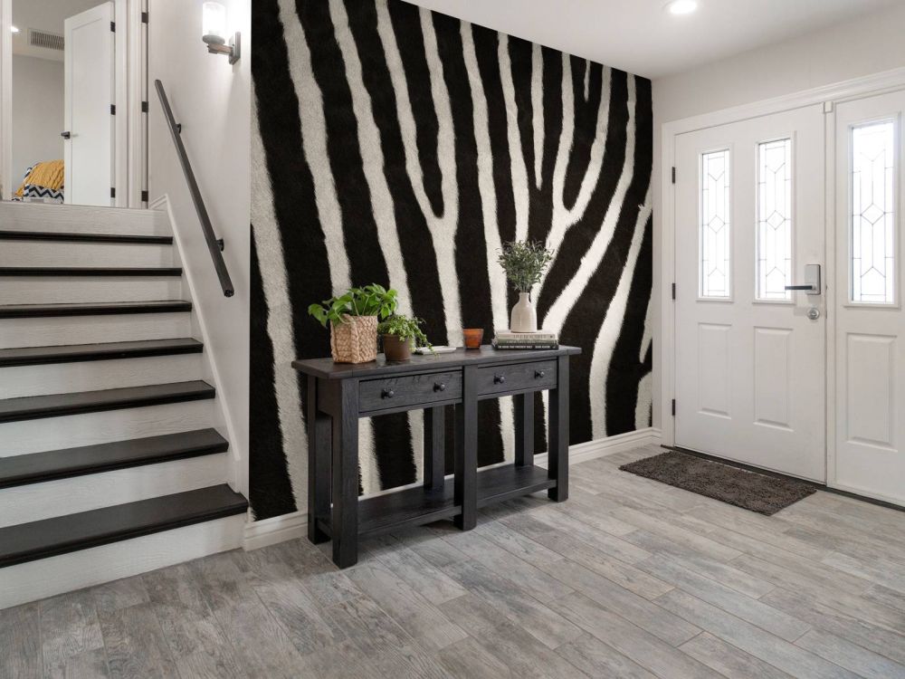 Zebra vacht