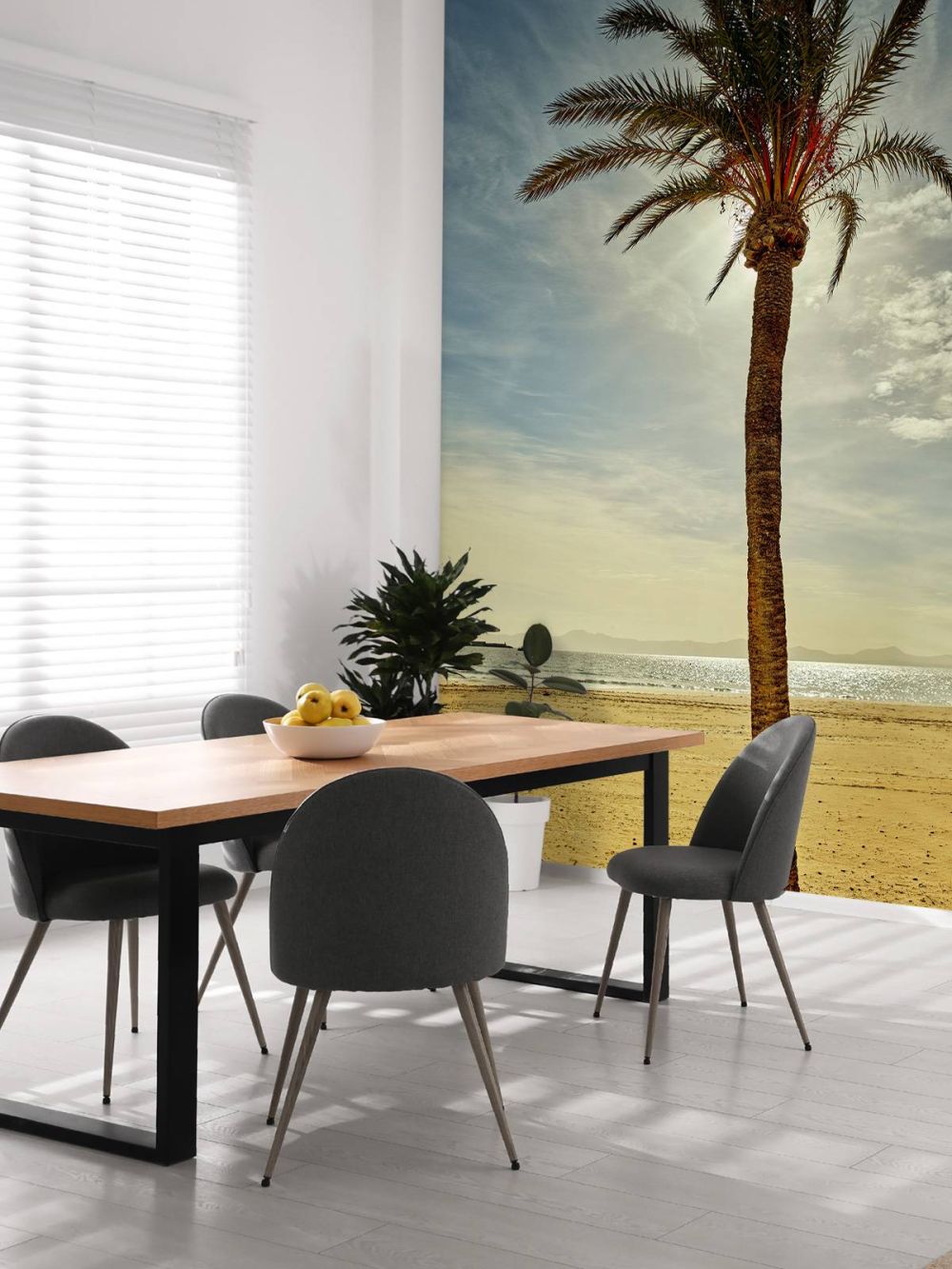 Palmboom in de zon