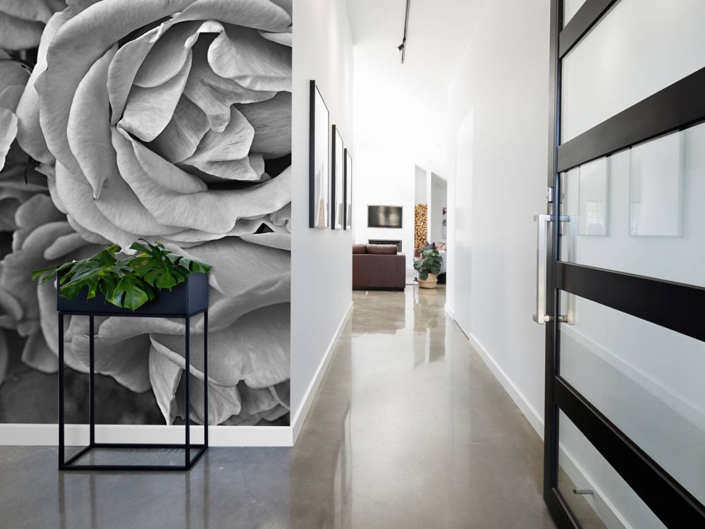 Rozen zwart-wit