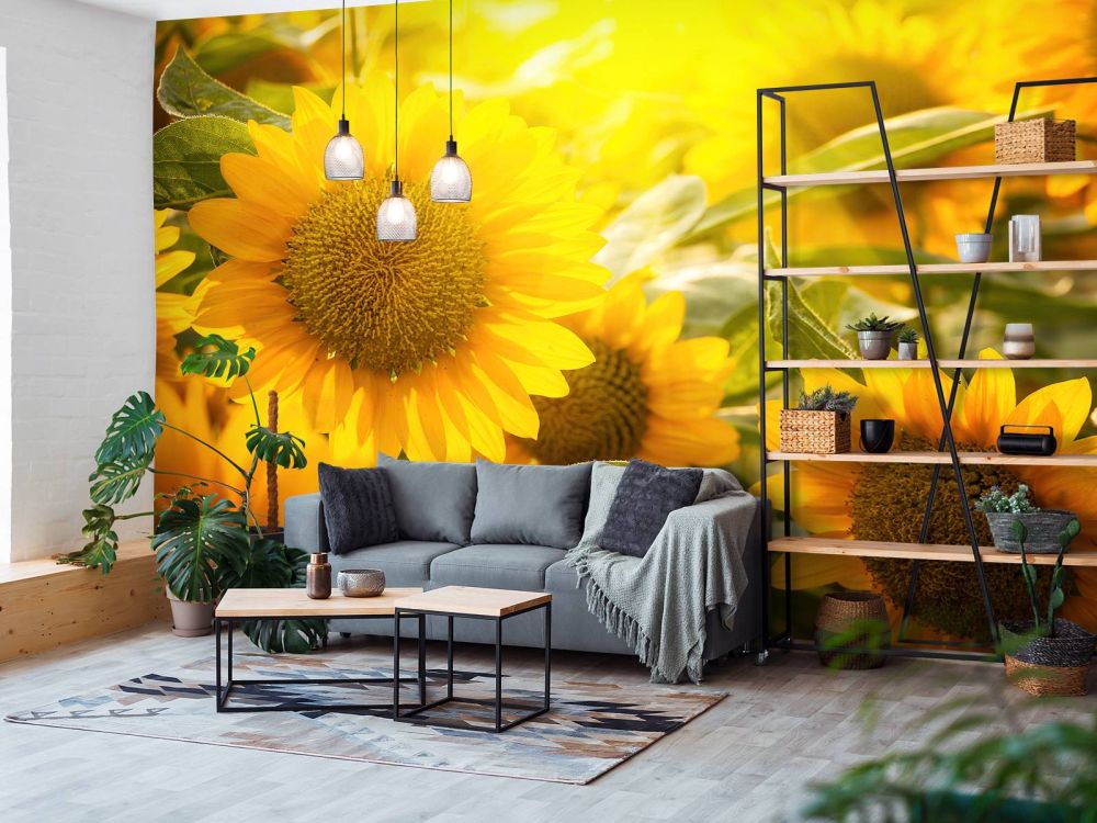 Zonnebloemen en zon